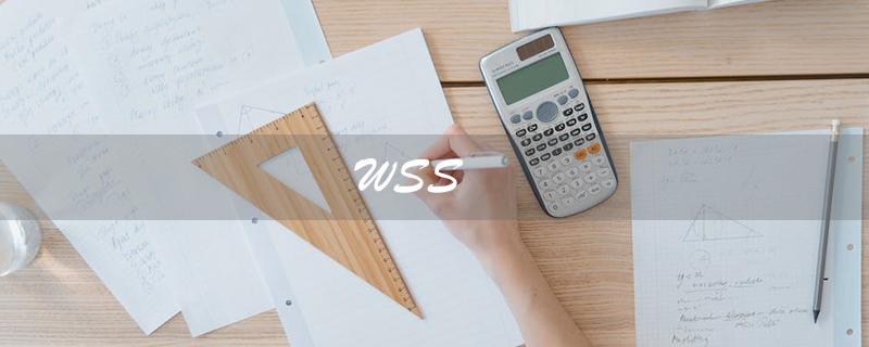 WSS（什么是wss协议）